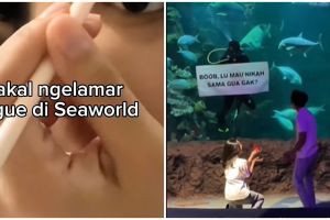 Berani beda, momen wanita lamar pacarnya di SeaWorld ini tuai pro-kontra