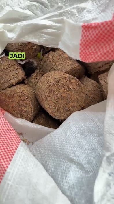 Penampakan uang Rp1,5 miliar yang rusak dalam karung ini bikin lihat dua kali, begini penjelasannya