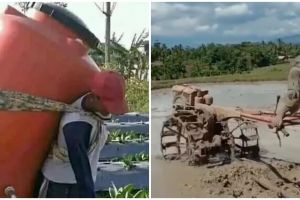 11 Kelakuan kocak orang saat bertani ini bikin nggak habis pikir, keterlaluannya di luar prediksi