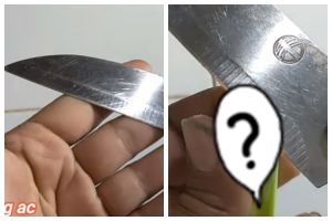 Tak sampai 5 menit, ini cara mengasah pisau tumpul jadi tajam kembali andalkan 1 alat dapur