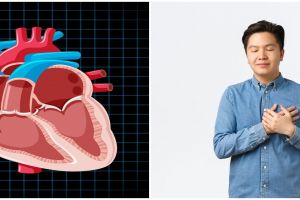 Penyakit jantung koroner mengintai usia muda, ini 10 makanan dan minuman bantu jaga kesehatan jantung