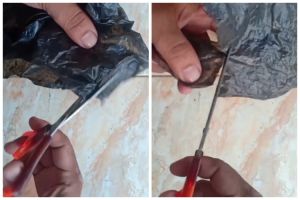Bukan digosok kertas amplas, begini trik ampuh menajamkan gunting tumpul cuma pakai 1 alat dapur