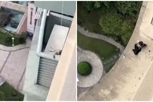 Tinggal di apartemen, lifehack nyeleneh pria pakai kepiting hidup buat ambil jemuran jatuh ini jenius