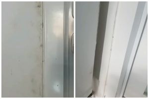 Pakai 1 bahan dapur, ini trik basmi jamur hitam di dinding rumah agar bersih tanpa merusak cat