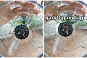 Nggak perlu cangkang telur, trik mengasah pisau blender agar tajam lagi andalkan 1 bumbu dapur
