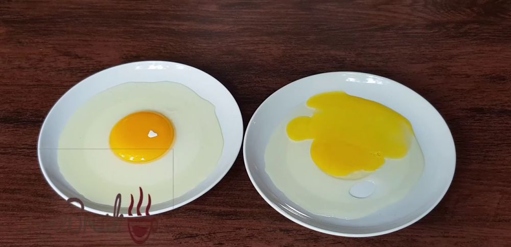 Jangan asal pilih yang putih, begini cara bedakan telur ayam kampung asli dan palsu agar tak terkecoh