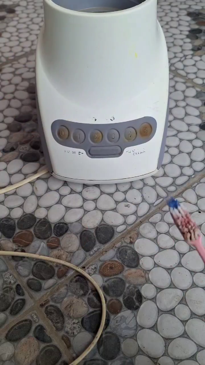 Tanpa digosok sabun, ini trik bersihkan bagian luar blender kusam agar kinclong pakai 1 bahan dapur