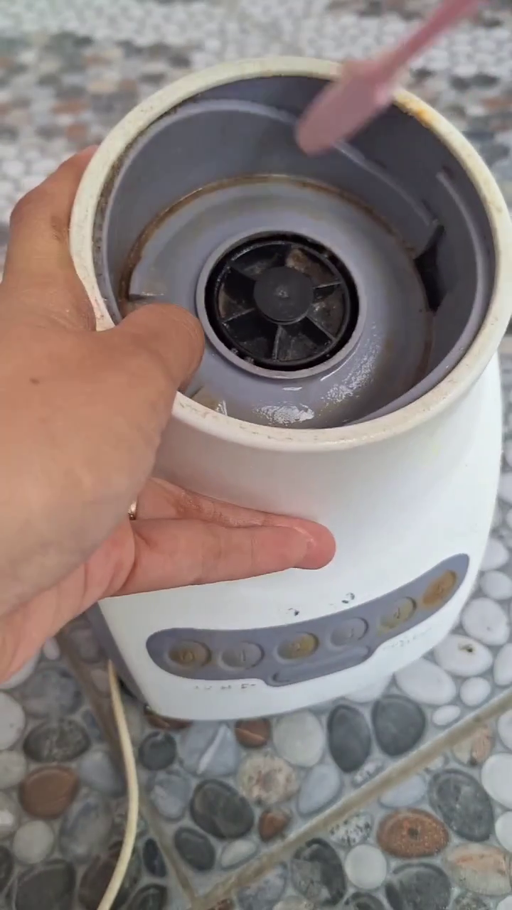 Tanpa digosok sabun, ini trik bersihkan bagian luar blender kusam agar kinclong pakai 1 bahan dapur
