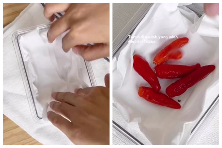 Bukan cuma pakai tisu, begini trik menyimpan cabai agar awet hingga 3 bulan andalkan 1 bahan dapur