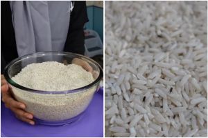 Bukan pakai kopi bubuk, ini trik mengusir kutu beras cuma andalkan 2 bahan dapur