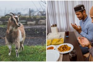 Keutamaan berkurban Hari Raya Idul Adha, penuh hikmah dan meningkatkan keimanan