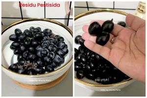 Bukan digosok soda kue, trik ibu muda bersihkan lilin dan pestisida anggur ini pakai 2 bahan dapur
