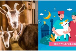 100 Kata-kata bijak menyambut Hari Raya Idul Adha terbaru 2024, inspiratif dan penuh makna mendalam