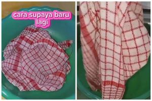 Tanpa dikucek sitrun, begini cara ampuh enyahkan noda membandel di lap cuma tambah 2 bahan dapur