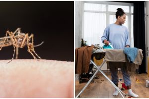 Sepele tapi rentan kena DBD, 5 kebiasaan ini bikin rumah jadi sarang nyamuk meski sering dibersihkan