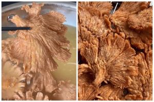 Bukan direndam baking soda, begini cara goreng jamur krispi agar renyah tahan lama dan makin gurih