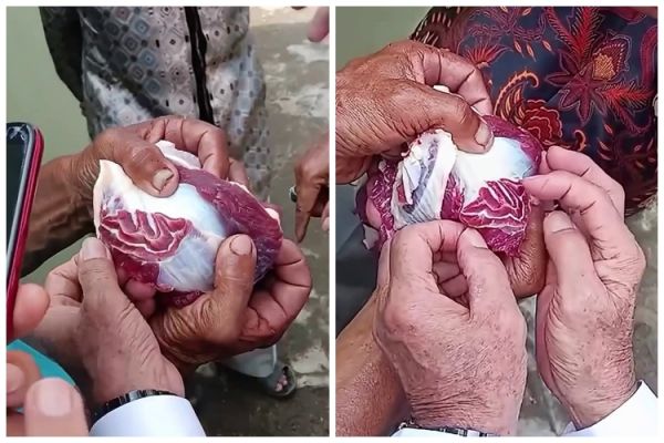 Penampakan potongan daging kurban berlafazkan Allah yang bikin geger warga di Palembang