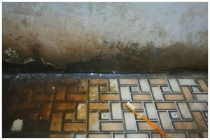 Cara bersihkan kerak dan lumut tebal di keramik kamar mandi, jadi kesat cukup tambah 2 bumbu dapur