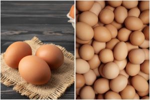 Tanpa masuk kulkas, begini cara menyimpan telur agar awet hingga 5 minggu dan antibusuk