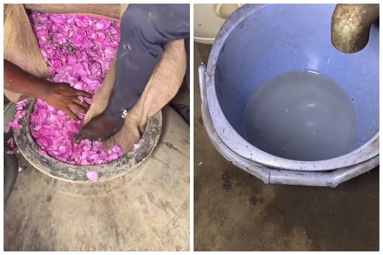 Kesannya bak air kobokan, ini 10 proses pembuatan rosewater yang bikin jijik
