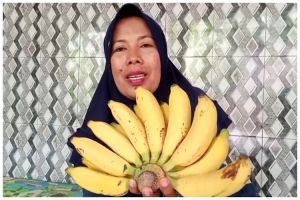 Bukan disimpan di kulkas, ini cara agar pisang awet segar dan tak cepat hitam pakai 2 alat sederhana