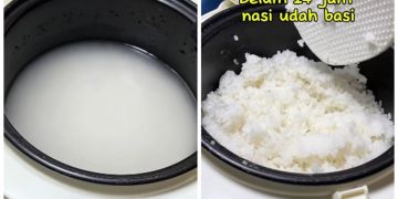 Trik mencegah nasi cepat basi dalam rice cooker pakai 1 bahan dapur, tak perlu ditambah minyak