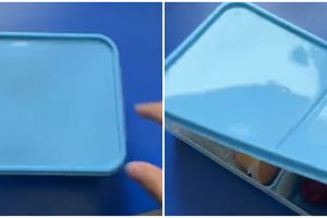 Momen apes pria dibawakan bekal istrinya yang lagi ngambek, pas dibuka isinya tak terduga