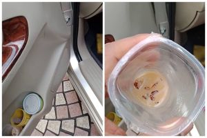 Tak perlu semprotan pembasmi serangga, trik usir kecoak di mobil ini ampuh pakai 2 bahan dapur