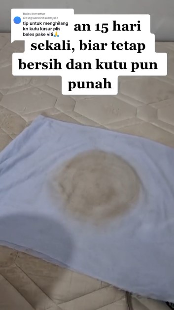 Tanpa divakum, cara pria basmi noda dan kutu di kasur ini auto bersih andalkan 1 bahan dan alat dapur