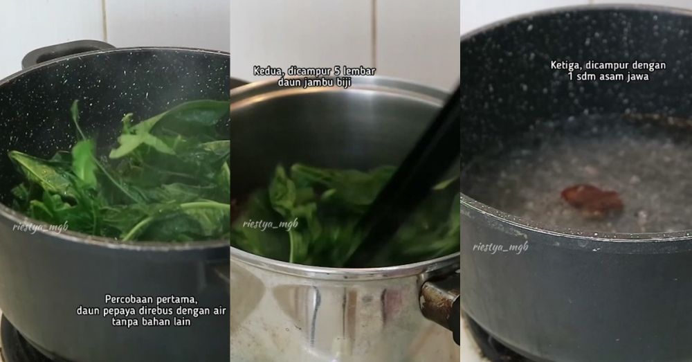 Trik rebus daun pepaya ini bisa hilangkan pahit dan bikin warnanya tak menghitam, cukup tambah 1 bahan