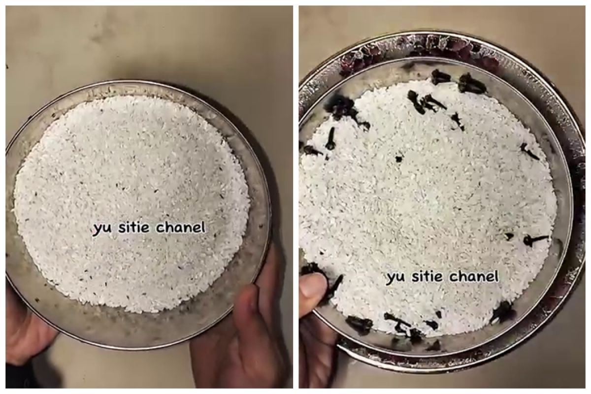 Instead of drying, this is a quick and effective way to get rid of rice