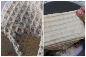 Tak perlu disikat, ini trik menghilangkan jamur dan noda menahun di baju pakai tambahan 2 bahan dapur
