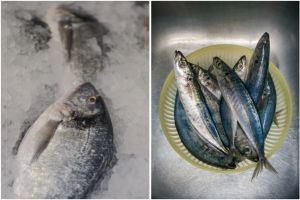 Trik cairkan daging ikan beku tanpa direndam air panas, kualitas rasa terjaga