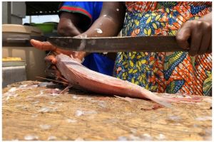 Lebih cepat tanpa pisau, ini cara bersihkan sisik ikan andalkan 1 jenis sampah dapur