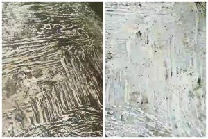 Cukup tambah 1 bahan dapur, ini trik cepat hilangkan lumut di dinding dan lantai tanpa pemutih
