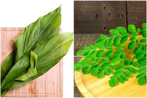 [KUIS] Jangan salah sebut! Coba uji pengetahuanmu, daun-daun pemberi aroma masakan ini namanya apa?