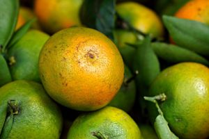 [KUIS] Seberapa pintar kamu memilih jeruk yang rasanya manis di pasar? Uji kemampuanmu di sini