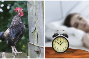 [KUIS] Ternyata telat bangun pagi bisa ungkap kepercayaan dirimu, hayo seberapa siang kamu bangun?