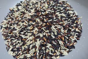 [KUIS] Bingung pilih beras untuk diet? Uji dulu wawasanmu di sini untuk tahu yang cocok buatmu