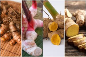 [KUIS] Dari kencur sampai jahe, uji pengetahuanmu menebak nama-nama bumbu rempah rimpang ini 