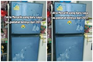Dikira rusak, emak-emak ini baru sadar penyebab kulkasnya tidak dingin