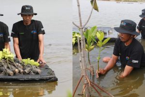 Selamatkan lahan dari abrasi, BRI Salurkan ribuan bibit mangrove kelompok tani di Muaragembong