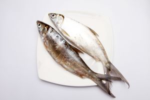 [KUIS] Tes kemampuanmu, seberapa jago kamu membedakan ikan yang masih segar dan nggak?