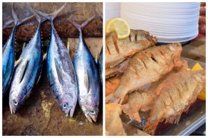Cara masak ikan ini bikin vitamin dan omega-3 turun 70 persen, begini trik agar nutrisi tetap terjaga
