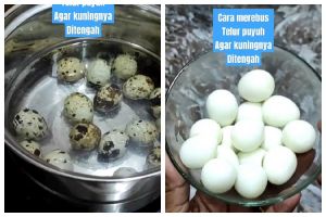 Tanpa tambahan cuka, ini cara merebus telur puyuh agar kuningnya di tengah dan mudah dikupas