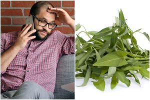 [KUIS] Caramu menyiangi sayur kangkung cerminkan sesabar apa kamu menghadapi internet lemot saat kerja