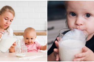 Kenali 5 risiko pemberian susu formula pada bayi sebagai pengganti ASI, diabetes hingga kurang gizi