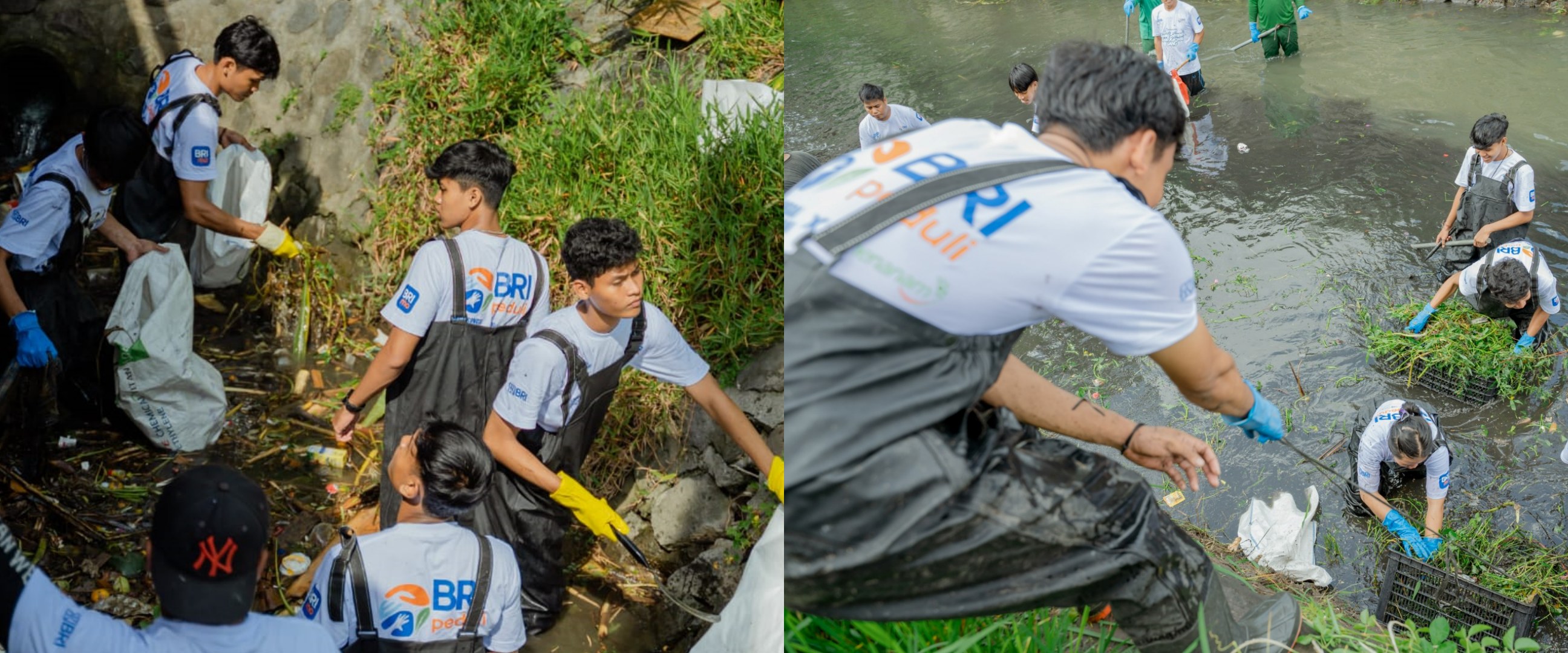 BRI peduli sungai & kehidupan, edukasi masyarakat jaga kebersihan sungai & hijaukan lingkungan