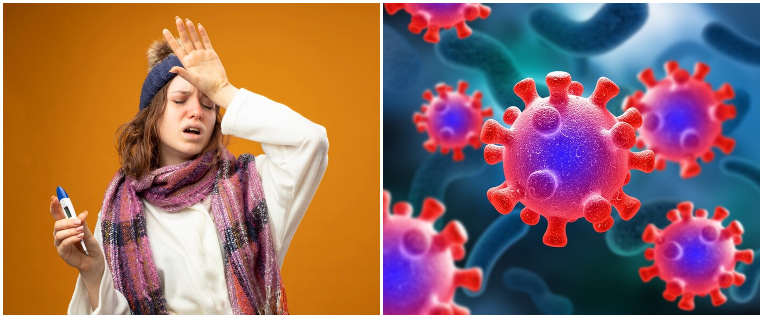 Disebut WHO sebagai next pandemi, kenali apa itu virus zika dan cara pencegahannya