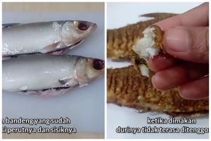 Bebas duri tanpa dipresto, ini trik mengolah ikan bandeng praktis dan cepat cuma pakai 1 alat